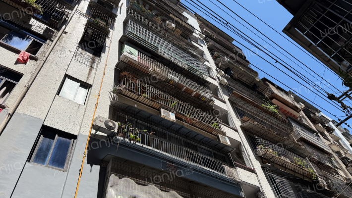 青羊宫77号外景图