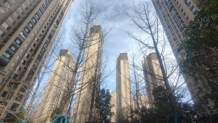 中南碧桂园樾府外景图