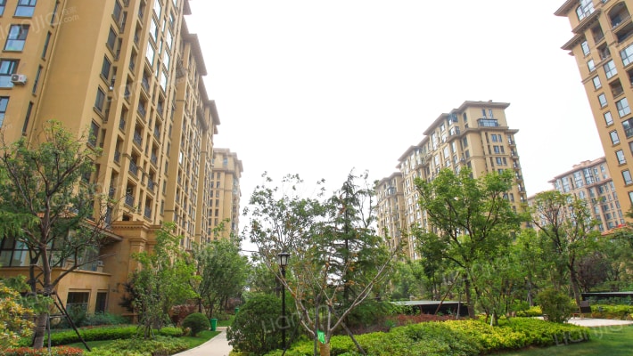 绿城理想之城蓝岸F区南区外景图