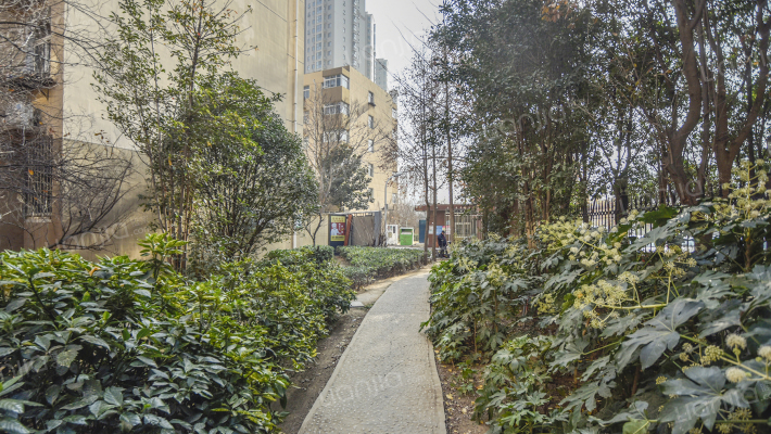 秦江花园小区外景图