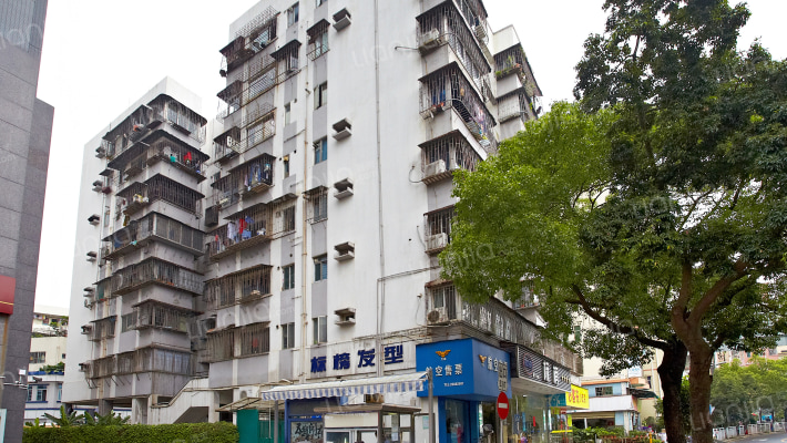 工业七路75号综合楼外景图