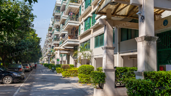 滨江绿园外景图