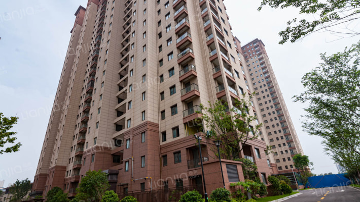 江湾国际中心外景图