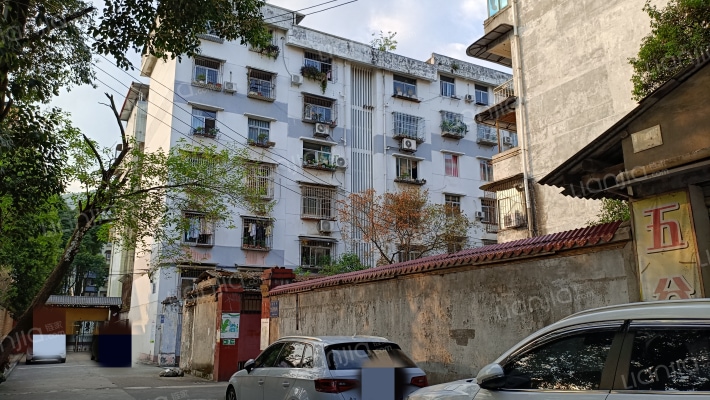 蒲阳路335号院外景图