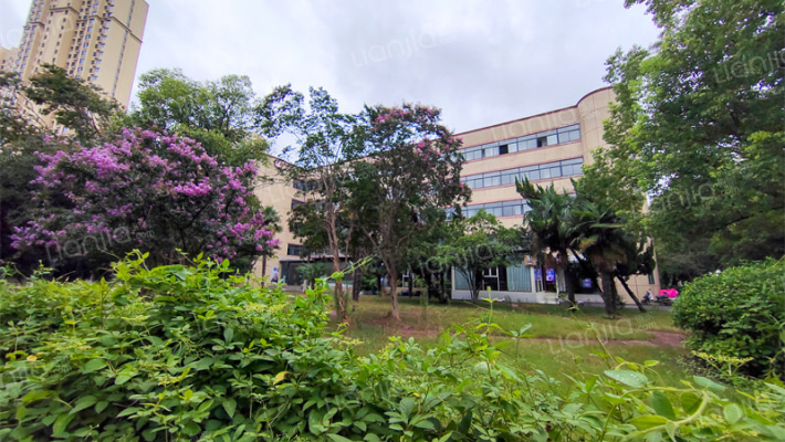 合巢路农行干校宿舍外景图