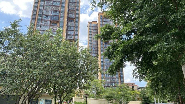 龙凤花园外景图