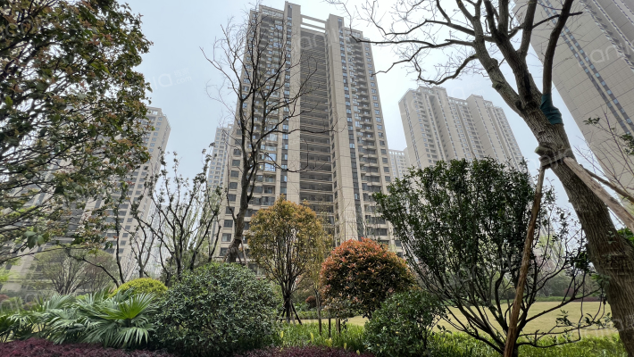 龙湖春江郦城外景图