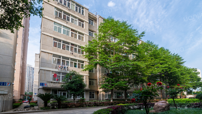 湖北省国税局宿舍外景图