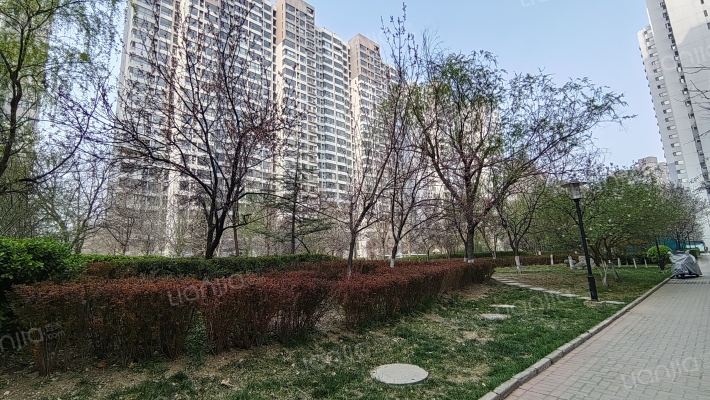 凤凰城玉兰苑北区外景图