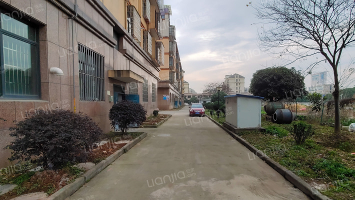 祝村花苑外景图