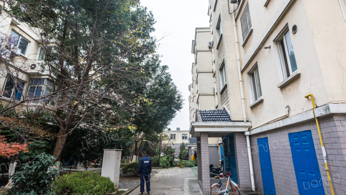 丽都花园别墅区外景图