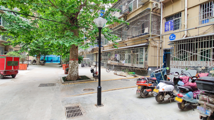 市容环卫家属院（老院）外景图