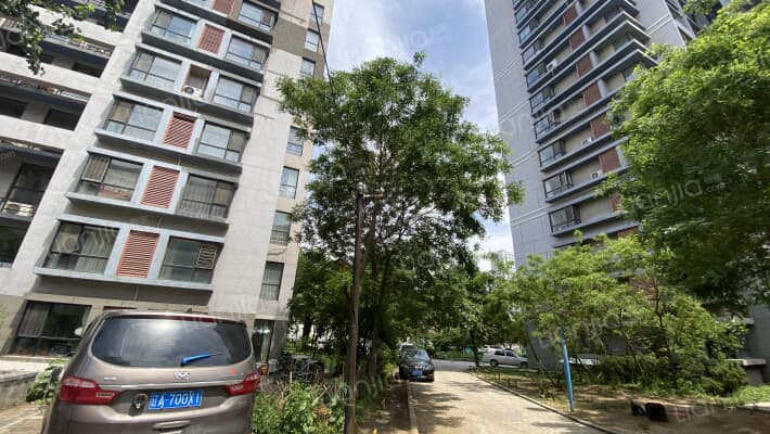 居易·新青年外景图