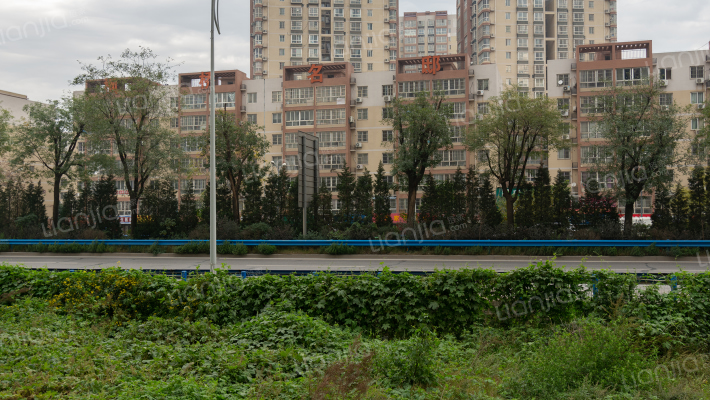 枫桥名邸外景图