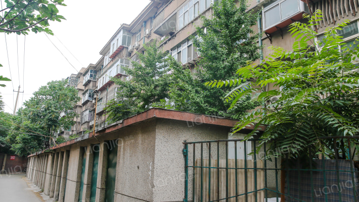 槐村街7到9号外景图