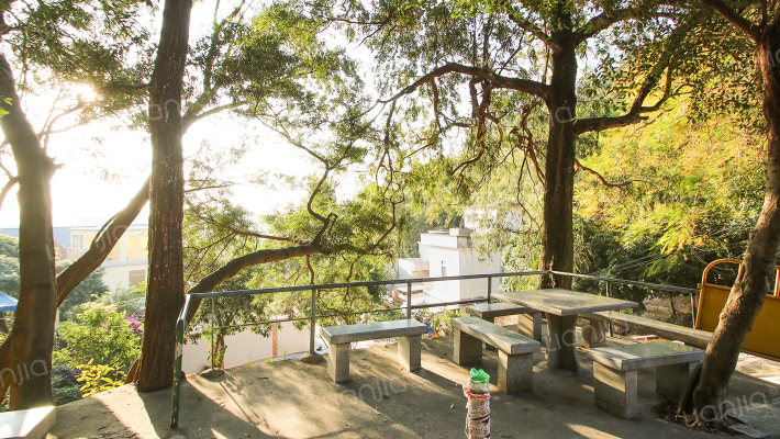 环山中路51号外景图