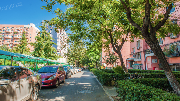 大慧寺12号院外景图