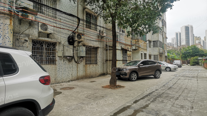 环城西路外景图