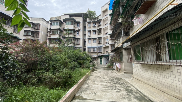 状元街五巷46号外景图