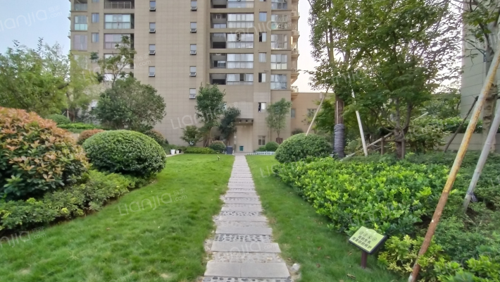 中栋国际外景图