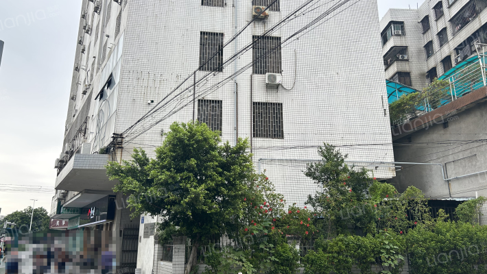 张槎三路6号外景图