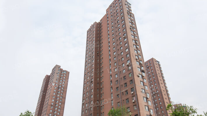 晶品枫林外景图