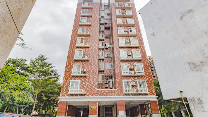 凤岗居委会联建楼外景图