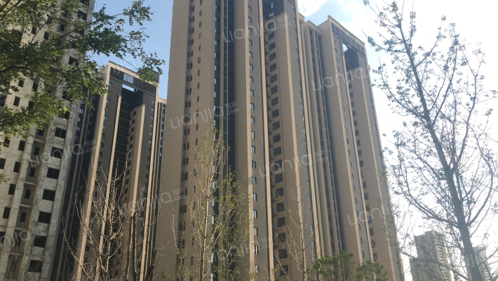 金科集美公馆外景图