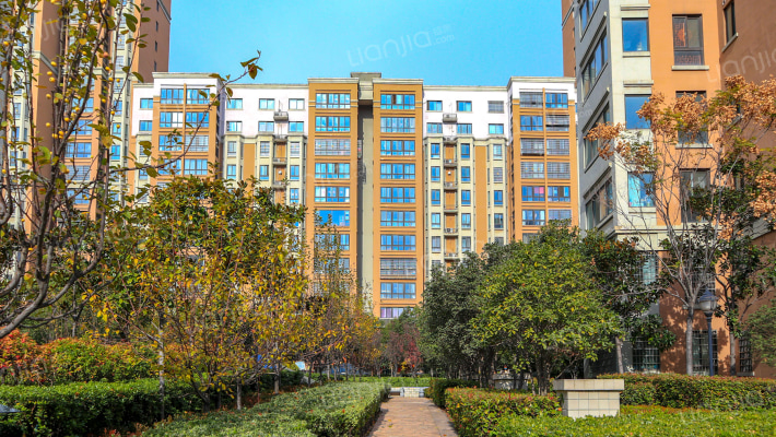 金成花园外景图