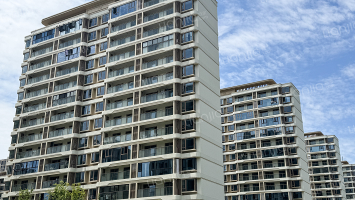 中南祥生宸光集外景图