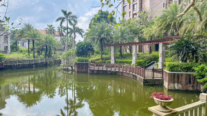 天隆三千海泊心岸外景图