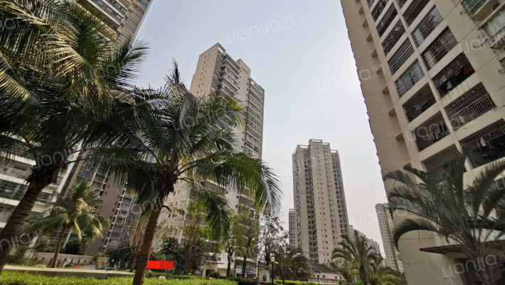 水岸阳光A区外景图