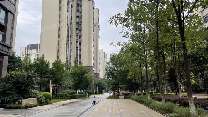 城投置地梧桐栖2期外景图