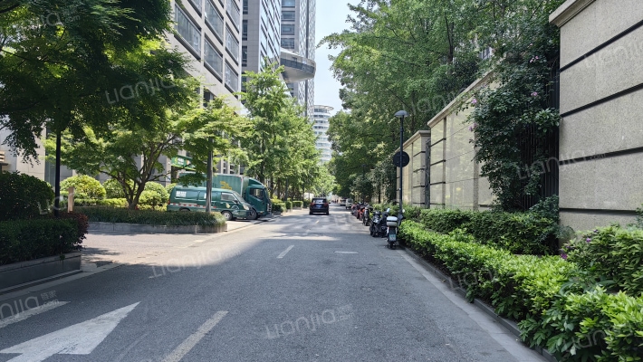 新湖武林国际公寓外景图