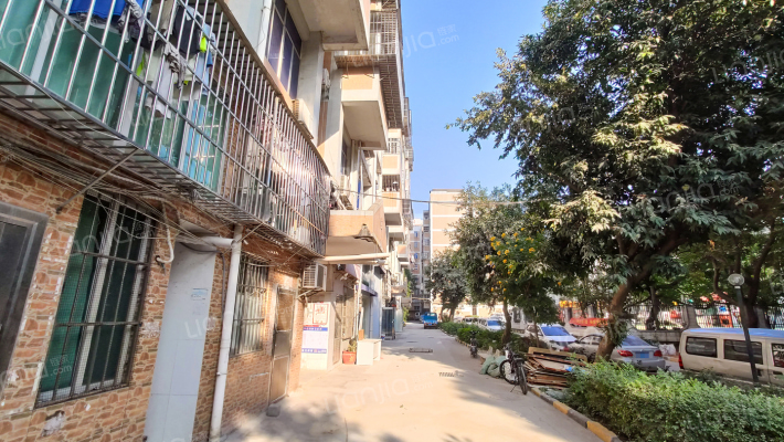 翠前新村外景图