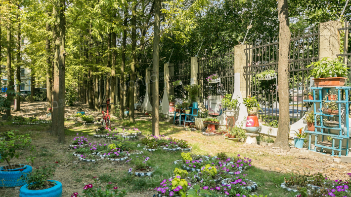 石化四村外景图