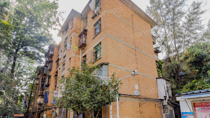 上海新村外景图