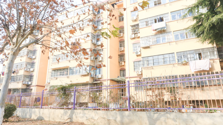 盐河东街6号外景图