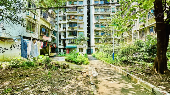 江南大道外景图