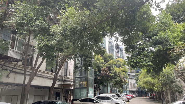 和平路43号外景图