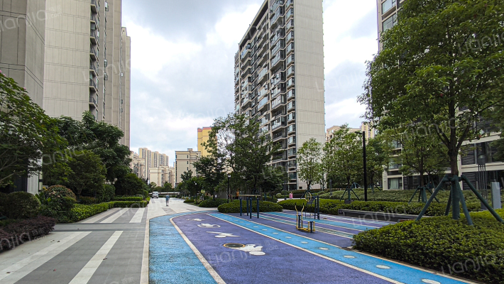 西岸春风外景图