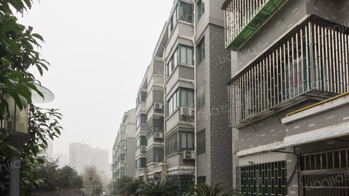 明珠花苑外景图