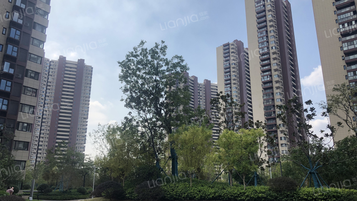 保利西江月外景图