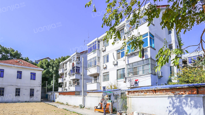 育才路19号小学教师楼外景图