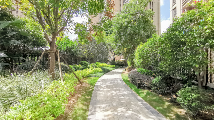 泰禾福州院子外景图