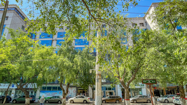 西木头市109号外景图