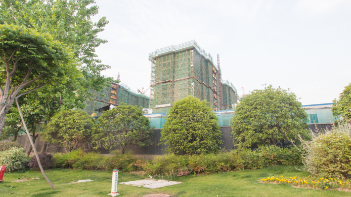 众安.蒲荷花苑外景图