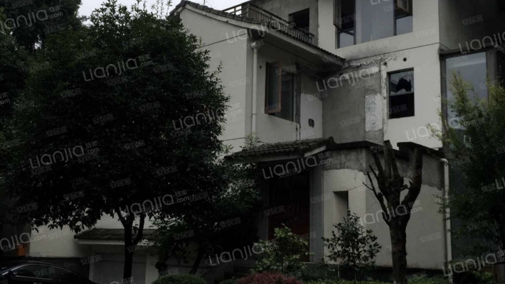 倾城莲花外景图