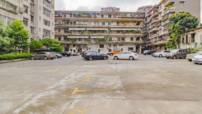 军桥大园外景图