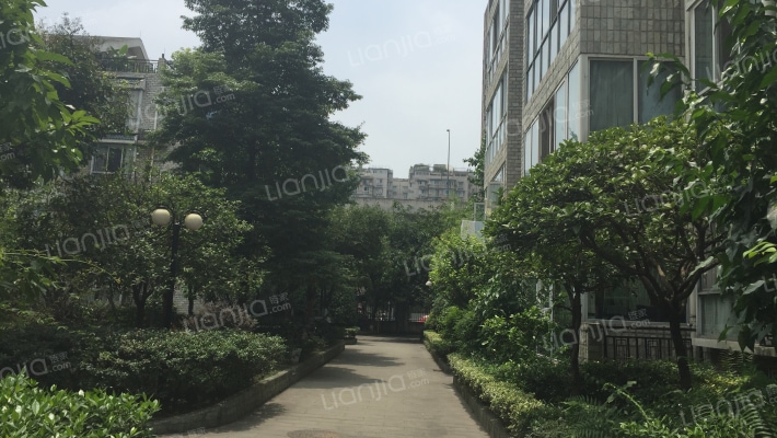 草堂路21号外景图